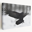 Stretched canvas wall art featuring a detailed design of a crow and raven, showcasing intricate black and gray feathers against a soft white background, ideal for enhancing modern decor.