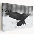 Stretched canvas wall art featuring a detailed design of a crow and raven, showcasing intricate black and gray feathers against a soft white background, ideal for enhancing modern decor.