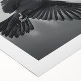Rolled canvas artwork showcasing a striking design of a crow and raven in intricate detail, featuring bold colors and textures, ideal for bird lovers and nature-themed decor.