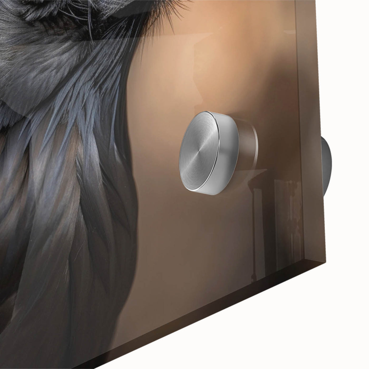 Close-up of a striking acrylic wall art piece featuring a crow and raven design, showcasing intricate details and vibrant colors, ideal for bird lovers and modern home decor.