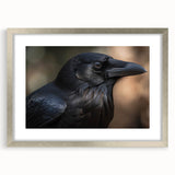 Framed wall art collection featuring a crow and raven design, set in a silver mat, showcasing intricate details and a modern aesthetic for home decor.