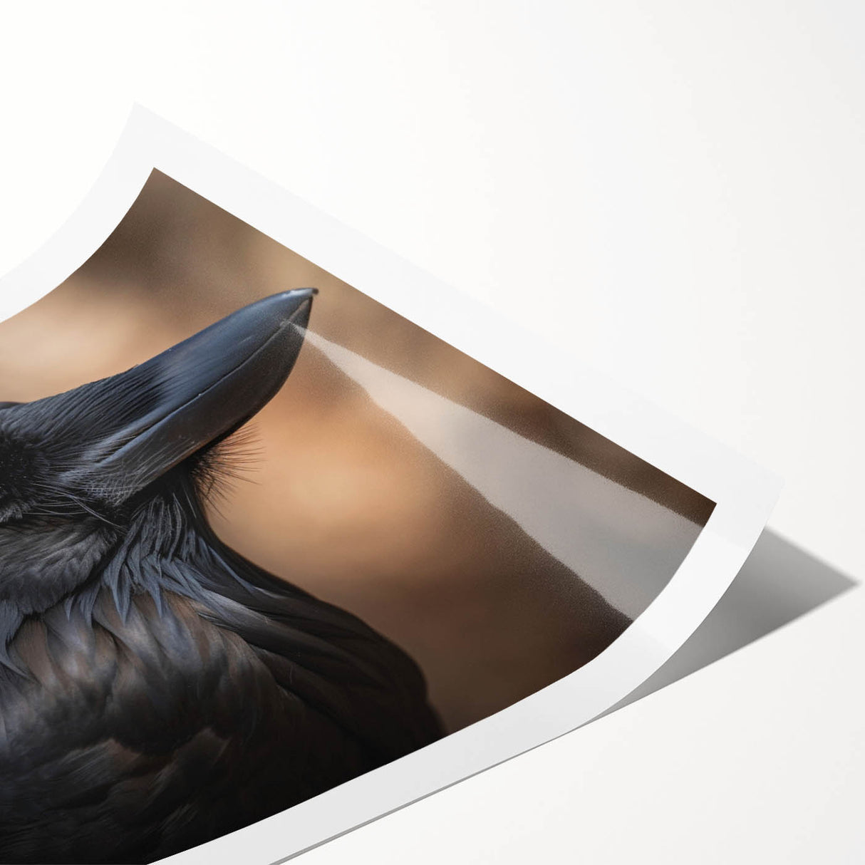 Artistic wall print showcasing a crow and raven design, featuring intricate details and rich colors, rolled for easy framing and display in any space.