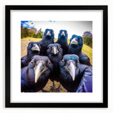 Framed wall art featuring a crow and raven design, set in a sleek black frame with a white mat, showcasing intricate details and contrasting colors for a striking decor piece.