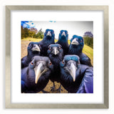 Framed wall art featuring a silver mat design showcasing crows and ravens in a contemporary style, ideal for modern home decor and bird enthusiasts.