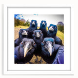 Framed wall art featuring an intricate design of crows and ravens, displayed with a white mat, perfect for modern home decor. Ideal for bird lovers and art enthusiasts.