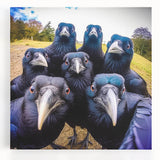 Stretched canvas wall art featuring an intricate design of a crow and raven, showcasing detailed black and gray feathers against a neutral background, ideal for bird lovers and modern decor.