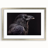 Framed wall art featuring a detailed design of a crow and raven in silver tones, set against a matte background, ideal for modern home décor and nature enthusiasts.