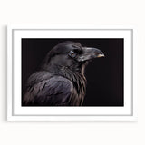 Framed wall art collection showcasing a striking design of crows and ravens in a white mat, perfect for enhancing modern home decor and bird-themed aesthetics.