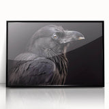 Framed wall art featuring a striking design of a crow and raven against a black background, showcasing intricate details and textures, ideal for enhancing modern decor.