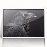 Framed wall art featuring a detailed design of a crow and raven on a white background, showcasing intricate black illustrations, ideal for nature lovers and modern decor enthusiasts.