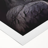 Rolled canvas featuring a striking design of a crow and raven, showcasing intricate details and vibrant colors, ideal for modern home decor.