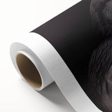 Rolled canvas wall art showcasing a striking design of a crow and raven in a vibrant color palette, perfect for adding an artistic touch to any room.