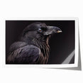 Stylish wall art print showcasing a detailed illustration of crows and ravens with intricate patterns, rolled and ready for display in any modern decor.