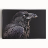 Stretched canvas wall art featuring a detailed design of a crow and raven, showcasing rich black and gray colors, perfect for modern home decor.