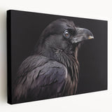 Stretched canvas wall art showcasing a striking design of a crow and raven, featuring intricate details and rich colors, ideal for modern decor.