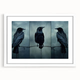 Framed wall art collection showcasing a crow and raven design with a white mat and frame, adding a touch of nature-inspired elegance to any decor. Ideal for bird lovers and art enthusiasts looking to enhance their living space.
