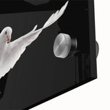 Close-up of a contemporary acrylic glass wall art piece showcasing a detailed dove design, featuring soft pastel colors on a sleek surface, ideal for modern home decor.