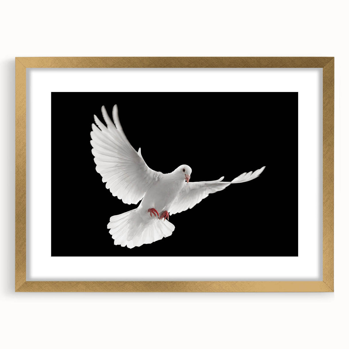 Elegant gold-framed wall art featuring a serene dove design, complete with a mat for enhanced presentation, perfect for adding a touch of sophistication to home decor.