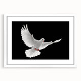 White-framed wall art featuring a dove design, showcasing soft colors and intricate details, ideal for home decor or gifting. Perfect for creating a serene atmosphere.