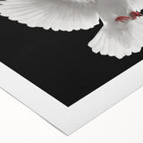 Rolled canvas art print showcasing a serene dove design with soft blue and white tones, ideal for modern home decor, elegantly packaged in a protective tube.