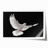 Elegant rolled wall art print featuring a serene dove design in soft pastel colors, ideal for home decor. Perfect for adding a touch of tranquility and nature-inspired aesthetics to any room.