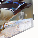 Close-up view of a vibrant acrylic glass wall art piece showcasing a whimsical duck design, perfect for home decor, adding a playful touch to any space.