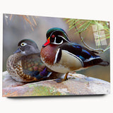 Side view of a duck-themed wall art piece made from acrylic glass, showcasing vibrant colors and intricate designs, mounted with stylish pins for display.