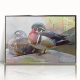 Framed wall art featuring a silver-accented duck design, showcasing vibrant colors and intricate details, perfect for modern home decor or bird enthusiasts.
