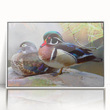 Framed wall art showcasing a vibrant duck design with a white acrylic frame, ideal for home decor and nature-themed interiors, enhancing any living space.