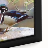 Close-up of a framed canvas wall art featuring a colorful duck design, showcasing intricate details and vibrant colors, perfect for home decor enthusiasts.