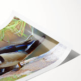 Colorful wall art print featuring a whimsical duck design with vibrant hues of yellow, blue, and green, ideal for enhancing home decor or children's rooms. This rolled print showcases intricate details and playful elements, perfect for bird lovers and art enthusiasts seeking a cheerful touch.