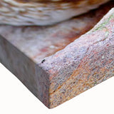 Close-up of a vibrant duck wall art design on stretched canvas, showcasing intricate details and rich colors, perfect for enhancing home decor. This artwork adds a lively touch to any room.