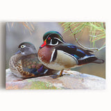 Colorful wall art featuring a whimsical duck design on stretched canvas, showcasing vibrant hues and playful details, suitable for modern home decor.