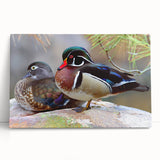 Stretched canvas wall art depicting a charming duck design, featuring vivid colors and intricate details, perfect for adding a whimsical touch to home decor.