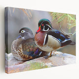 Stretched canvas wall art showcasing a vibrant duck design in a serene natural setting, perfect for adding color and charm to home decor.