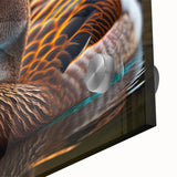 Close-up of a vibrant acrylic wall art piece showcasing a duck design, featuring intricate details and rich colors, ideal for home decor and animal lovers.