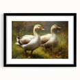 Framed wall art featuring a black mat and a stylish design of colorful ducks, perfect for adding a lively touch to home decor. Ideal for bird lovers and art enthusiasts.
