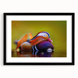 Black-framed wall art showcasing a vibrant duck design in a stylish mat, perfect for adding a touch of nature-inspired decor to any living space.