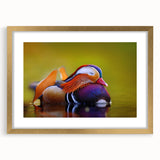 Framed wall art featuring a duck design with gold accents, set in a mat for an elegant presentation. Ideal for home decor, adding a touch of nature-inspired elegance.