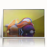 Framed wall art collection featuring a duck design in vibrant colors, displayed in a sleek white frame, perfect for modern home decor and bird enthusiasts.