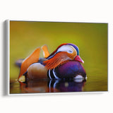 Framed canvas wall art showcasing a vibrant duck design in a minimalistic white frame, ideal for enhancing modern home decor, with a side view highlighting its elegant finish.
