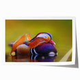 Colorful wall art featuring a whimsical duck design, printed on high-quality paper, showcasing vibrant hues and intricate details, ideal for home decor.