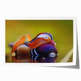 Colorful wall art featuring a whimsical duck design, printed on high-quality paper, showcasing vibrant hues and intricate details, ideal for home decor.