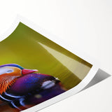 Colorful duck-themed wall art print showcasing intricate bird designs, rolled for easy shipping and display, ideal for enhancing home decor with nature-inspired aesthetics.