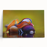 Colorful duck-themed wall art collection featuring a vibrant design printed on stretched canvas, leaning against a neutral wall, perfect for home decor enthusiasts.