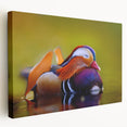 Colorful duck-themed wall art collection on stretched canvas, showcasing vibrant birds in a serene nature setting, perfect for home decor enthusiasts.
