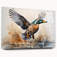 Vibrant acrylic glass wall art collection showcasing a side view of colorful duck designs, featuring decorative pins for easy hanging in modern interiors.