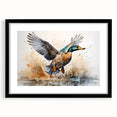 Framed wall art collection featuring a stylish duck design with a black mat and frame, ideal for modern home decor, showcasing vibrant colors and intricate details. Perfect for bird lovers and nature enthusiasts looking to enhance their living space.