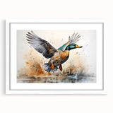Framed wall art collection featuring a stylish duck design in a white mat, ideal for modern decor. The artwork showcases intricate details and vibrant colors, perfect for enhancing any living space or gallery wall.