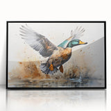 Framed wall art collection showcasing a vibrant duck design with colorful birds on a black background, perfect for enhancing home decor and adding a contemporary touch.